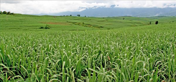 农业部副部长余欣荣带队赴内蒙古开展汛前检查