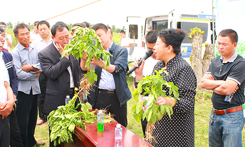 Group_25.png Group_25.png