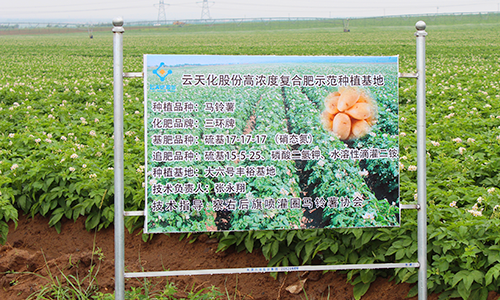 Group_25_3.png Group_25_3.png