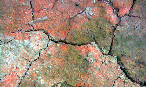 bus_14.png bus_14.png