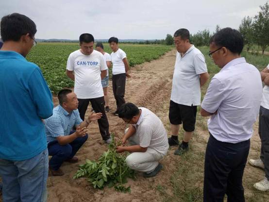 image006.jpg image006.jpg