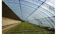 如何延长大棚膜的使用寿命？