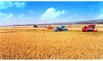 780.1亿斤！内蒙古迎来第十九个丰收年